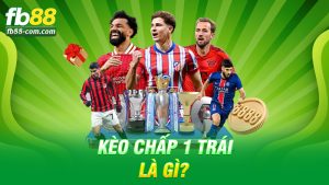 Kèo Chấp 1 Trái Là Gì? Đừng Nhầm Lẫn Nếu Không Muốn “Chấp Cả Tiền Mình”