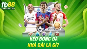 Kèo Bóng Đá Nhà Cái Là Gì? Hiểu Rõ Để Không Còn “Chơi Mà Không Biết Mình Đang Chơi Gì”